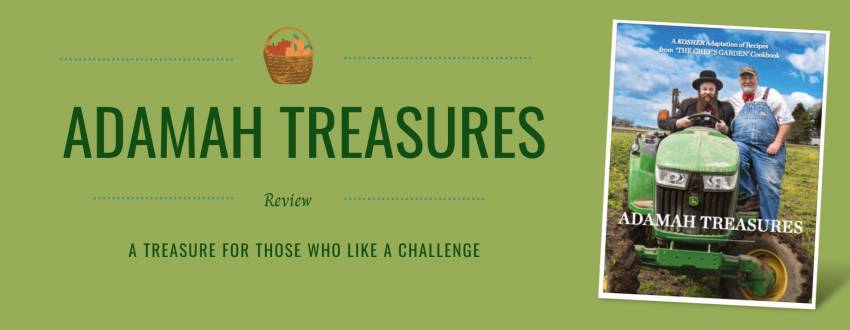 Adamah Treasures Review: A Treasure for Those Who Like a Challenge