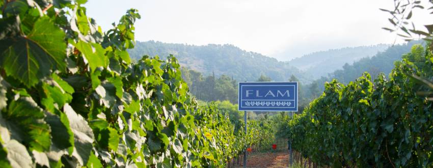 The Other Side of the Cork: Flam Winery: A Family Affair