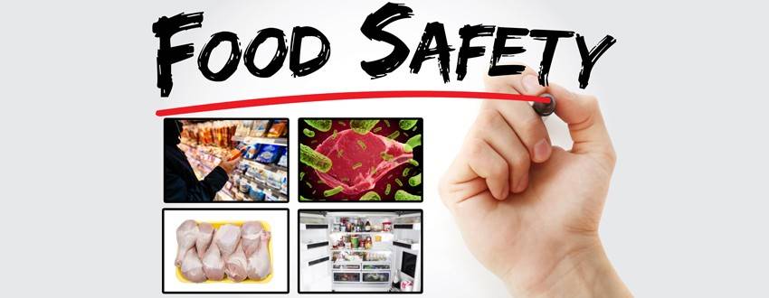 Can I Eat That? A Guide to Food Safety