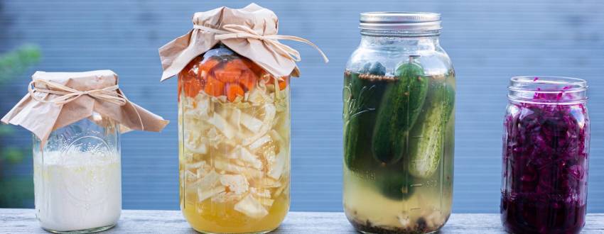 Complete Guide to Get Started with Fermenting Foods at Home
