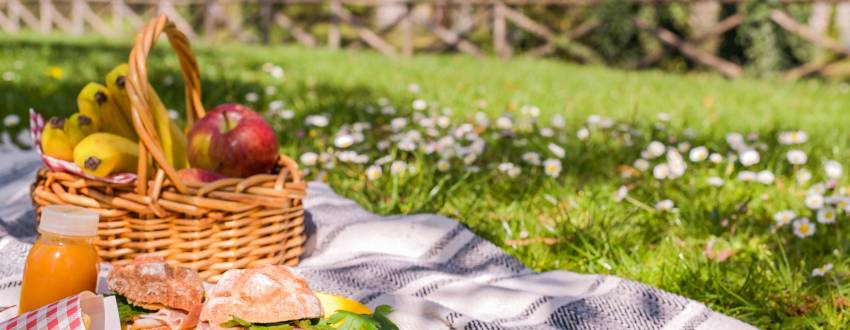How to Set Up the Perfect Picnic