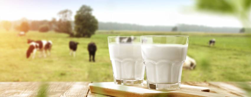 Is Milk Kosher All Over the World?