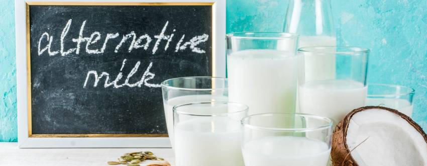 Everything You Need to Know About Non-Dairy Milks