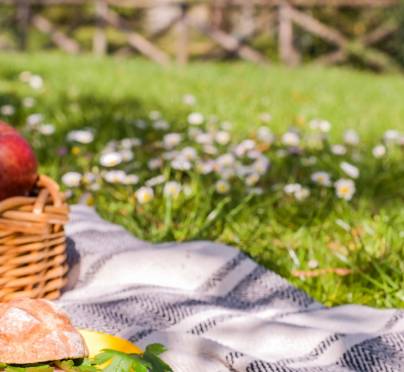 How to Set Up the Perfect Picnic