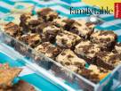 Chocolate Pudding Cappuccino Cheese Brownies