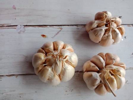 Braised Brisket with 36 Cloves of Garlic