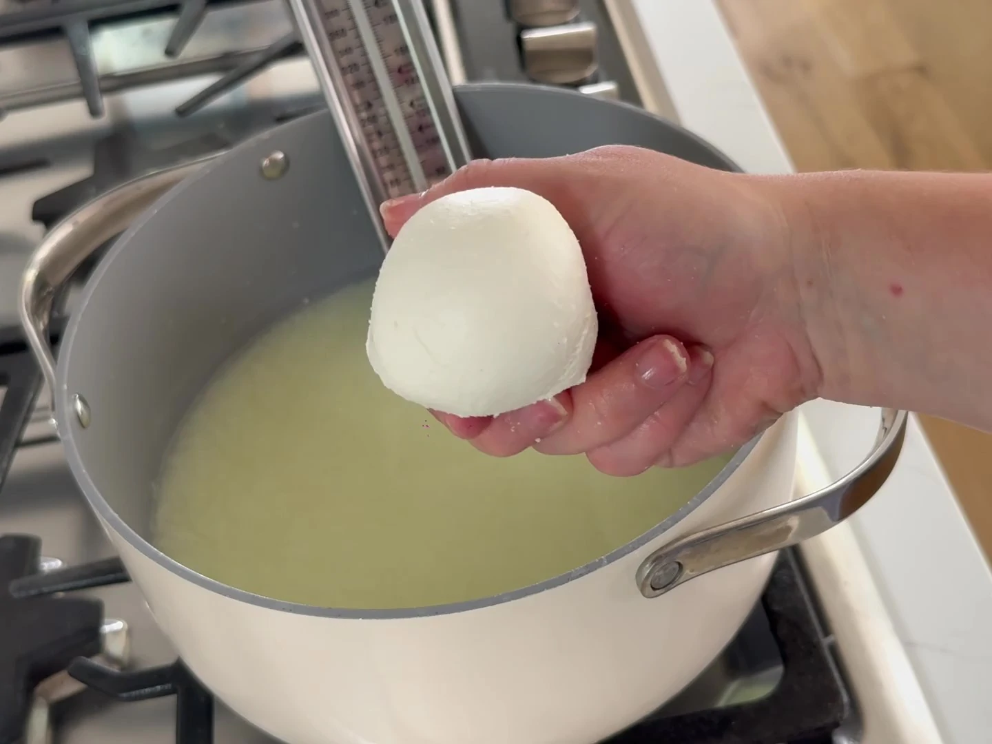 Homemade Mozzarella