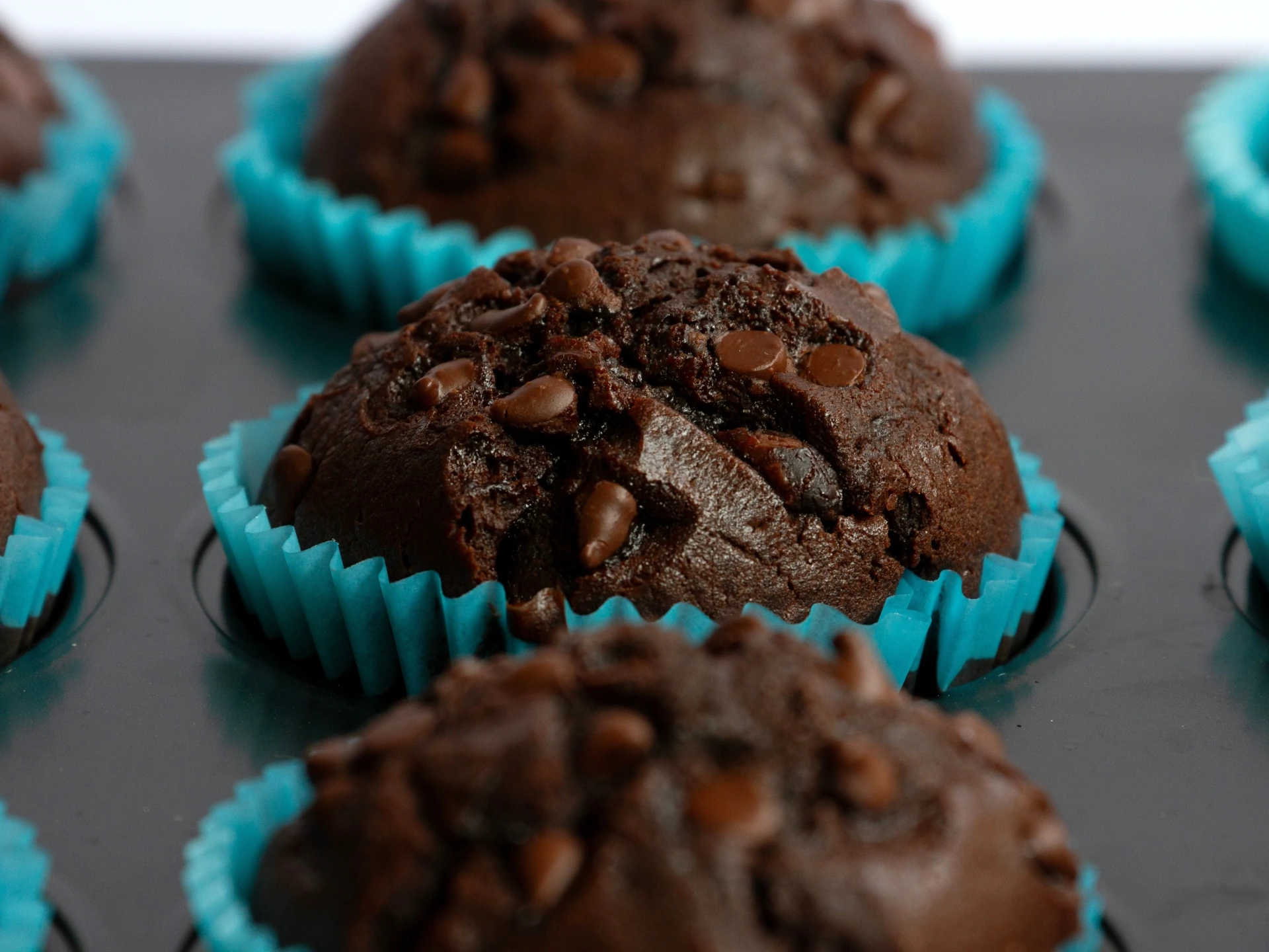 Whole Wheat Chocolate Muffins
